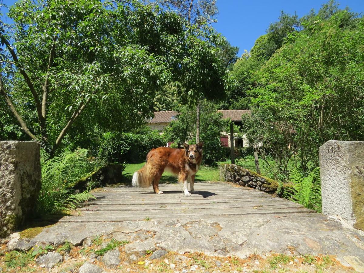 Le Moulin De Pensol - Gites Dış mekan fotoğraf