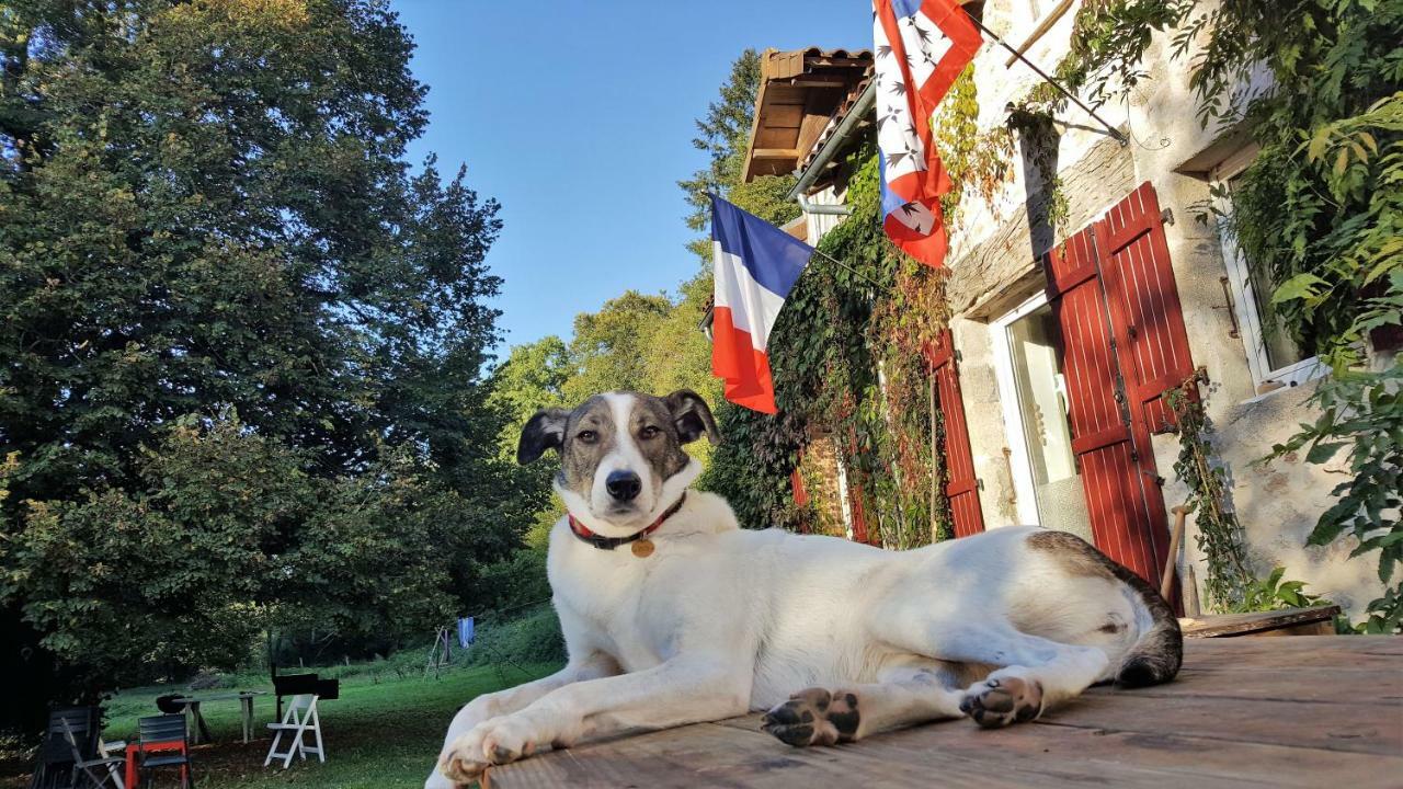 Le Moulin De Pensol - Gites Dış mekan fotoğraf