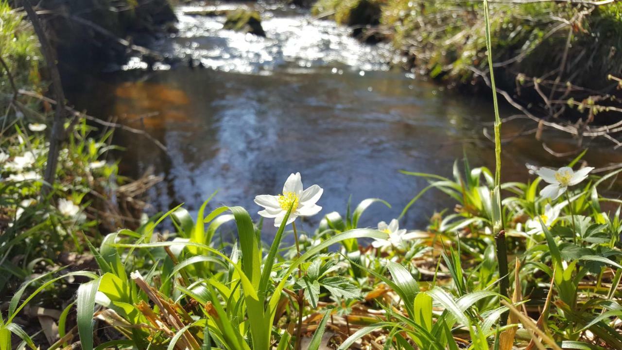 Le Moulin De Pensol - Gites Dış mekan fotoğraf